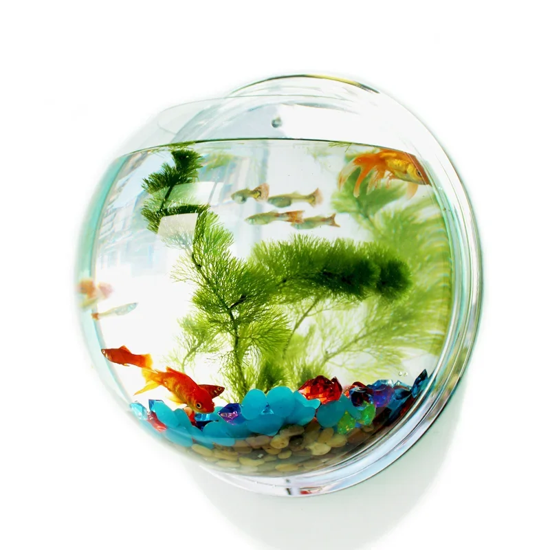 Aquarium Fish In Bowl - Pinsjar Acrylic Fish Bowl Wall Hanging