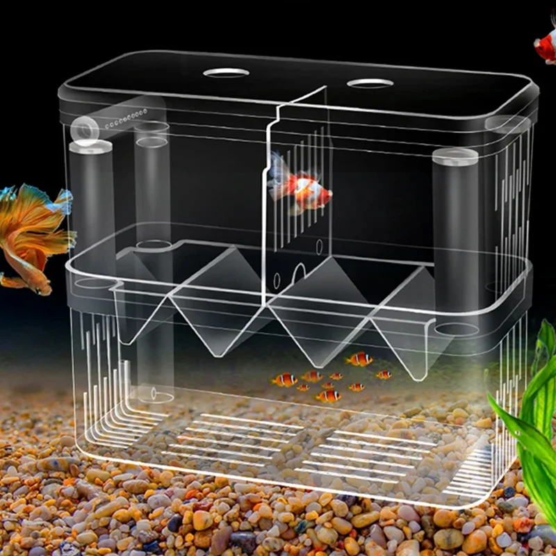 Xl Aquarium Fish - Fish Breeding Isolation Box S/L/XL Aquarium