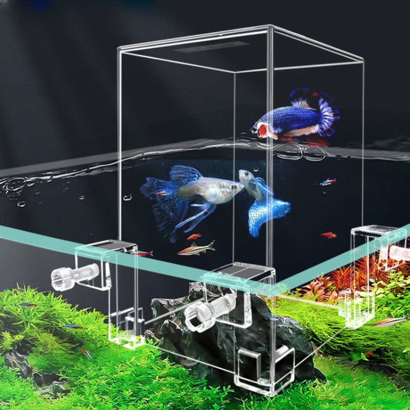 Aquarium Fish In Bowl - Creative Aquarium Tanks Negative Pressure Fish
