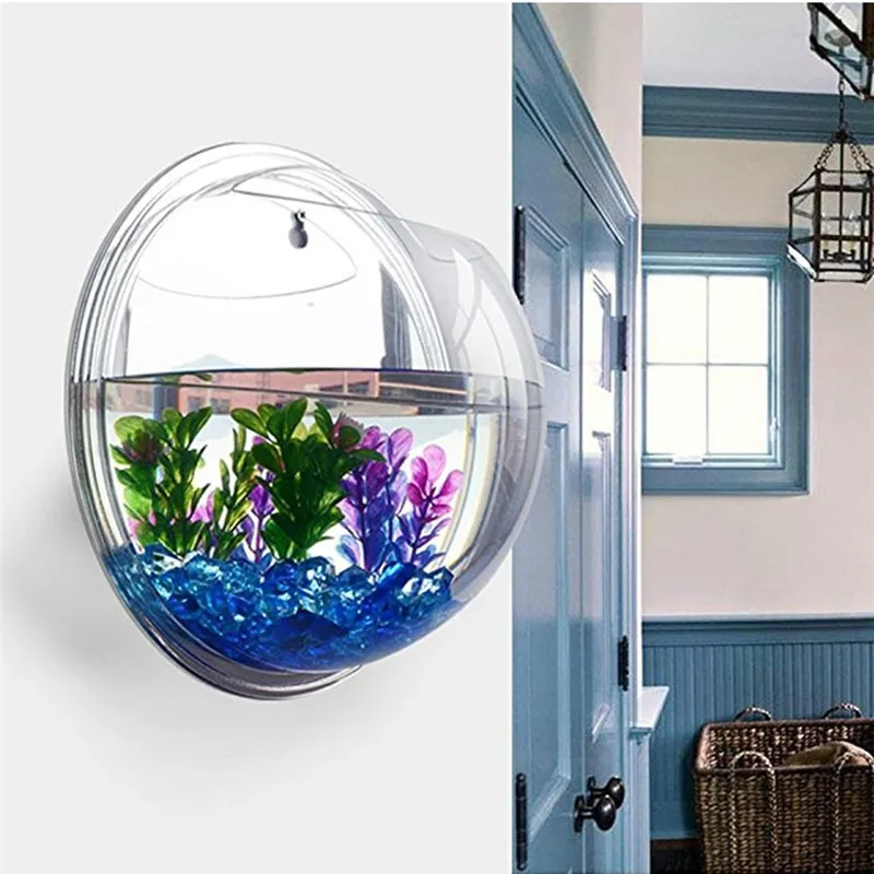 Aquarium Fish In Bowl - Transparent acrylic hanging wall aquarium, Plant
