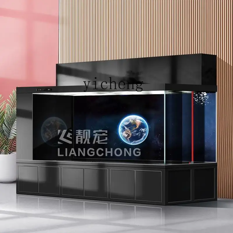 Xl Aquarium Fish - XL fish tank double filter koi