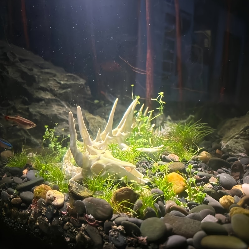 1pc Dragon-Shaped Fishbone Dec - огляд і ціна Aquarium Fish Games
