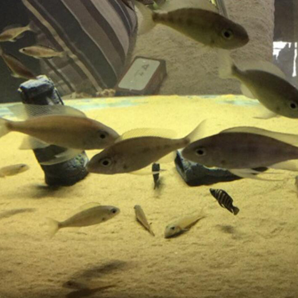 Artificial Resin Xl Statue Aqu - огляд і ціна Xl Aquarium Fish