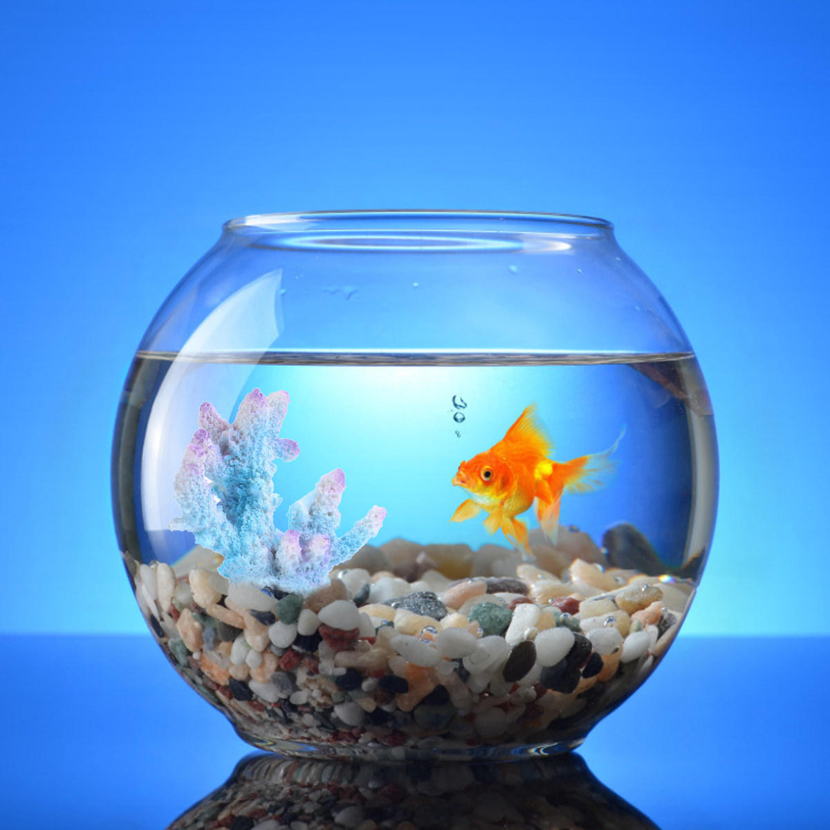 Creative Resin Aquarium Coral  - огляд і ціна Xl Aquarium Fish