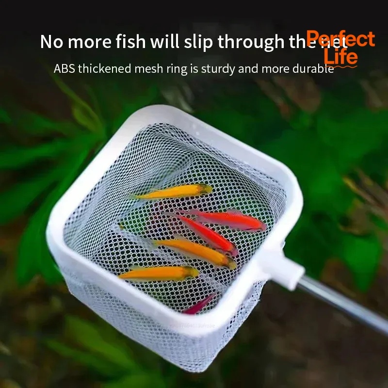 1、2Pcs Stainless Steel Fishing - огляд і ціна Aquarium Fish Trap