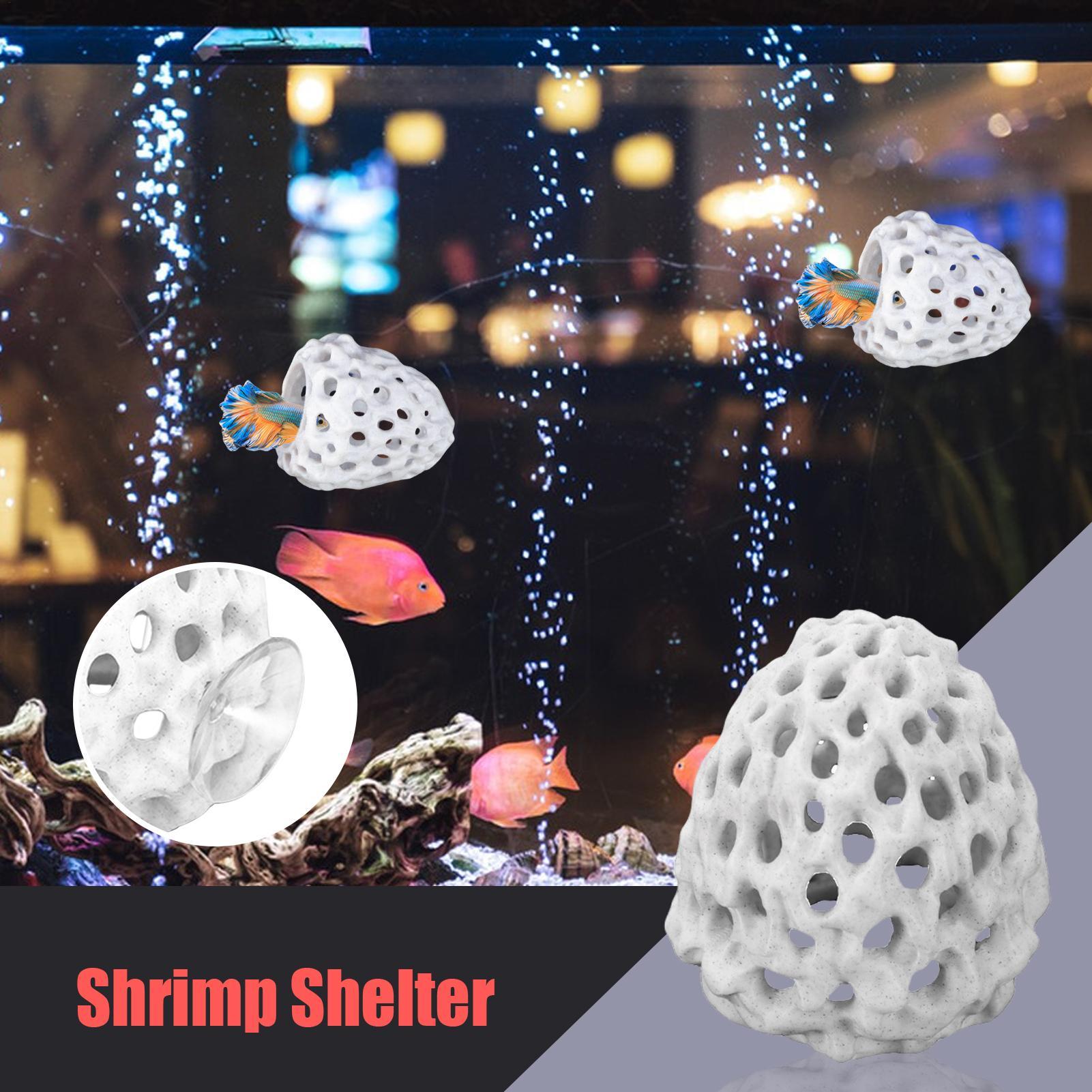 Small Aquarium shrimp house Ca - огляд і ціна Aquarium Fish Home