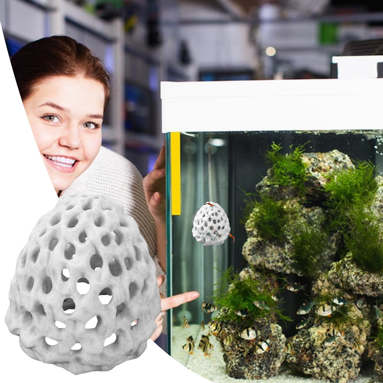 Small Aquarium shrimp house Ca - огляд і ціна Aquarium Fish Home