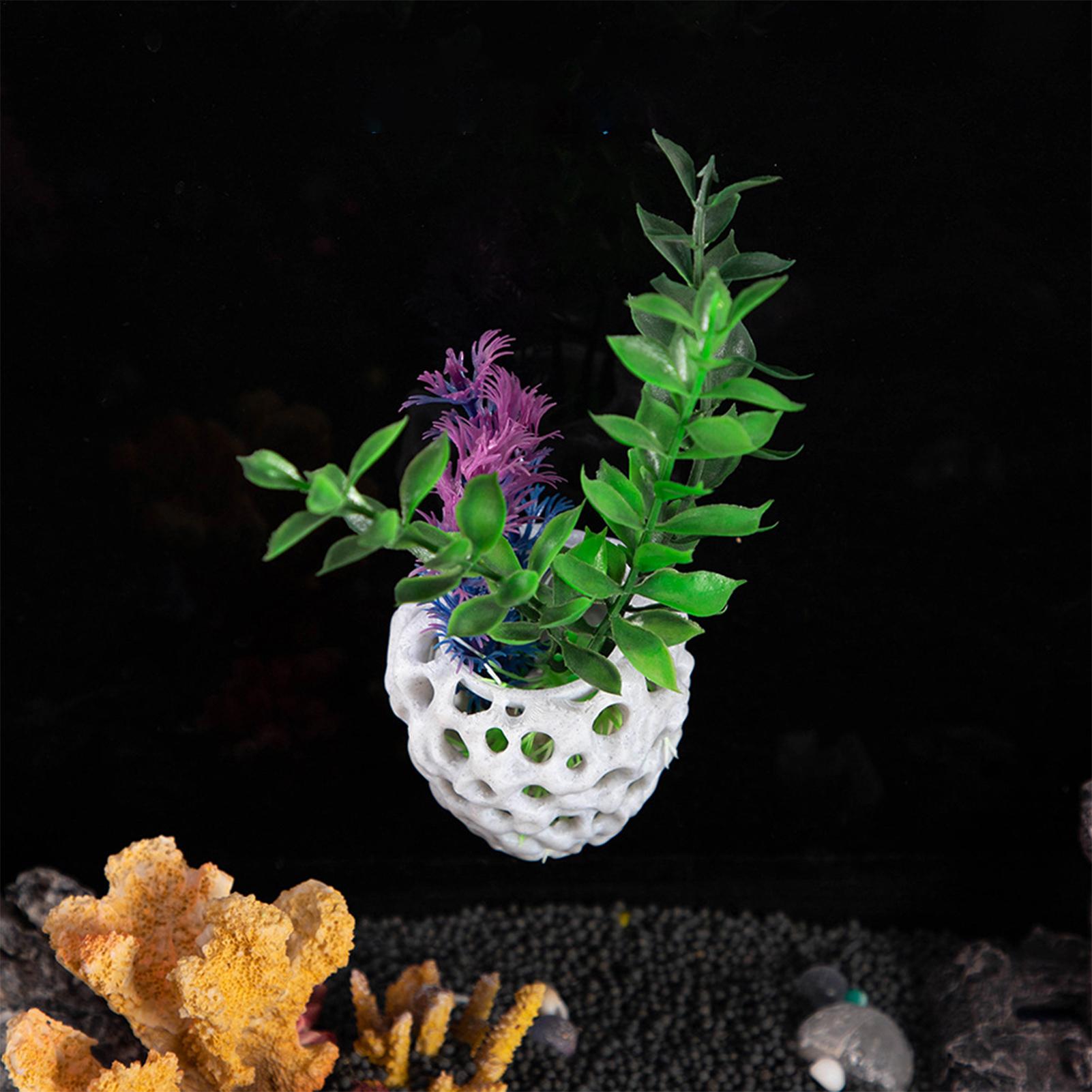 Small Aquarium shrimp house Ca - огляд і ціна Aquarium Fish Home