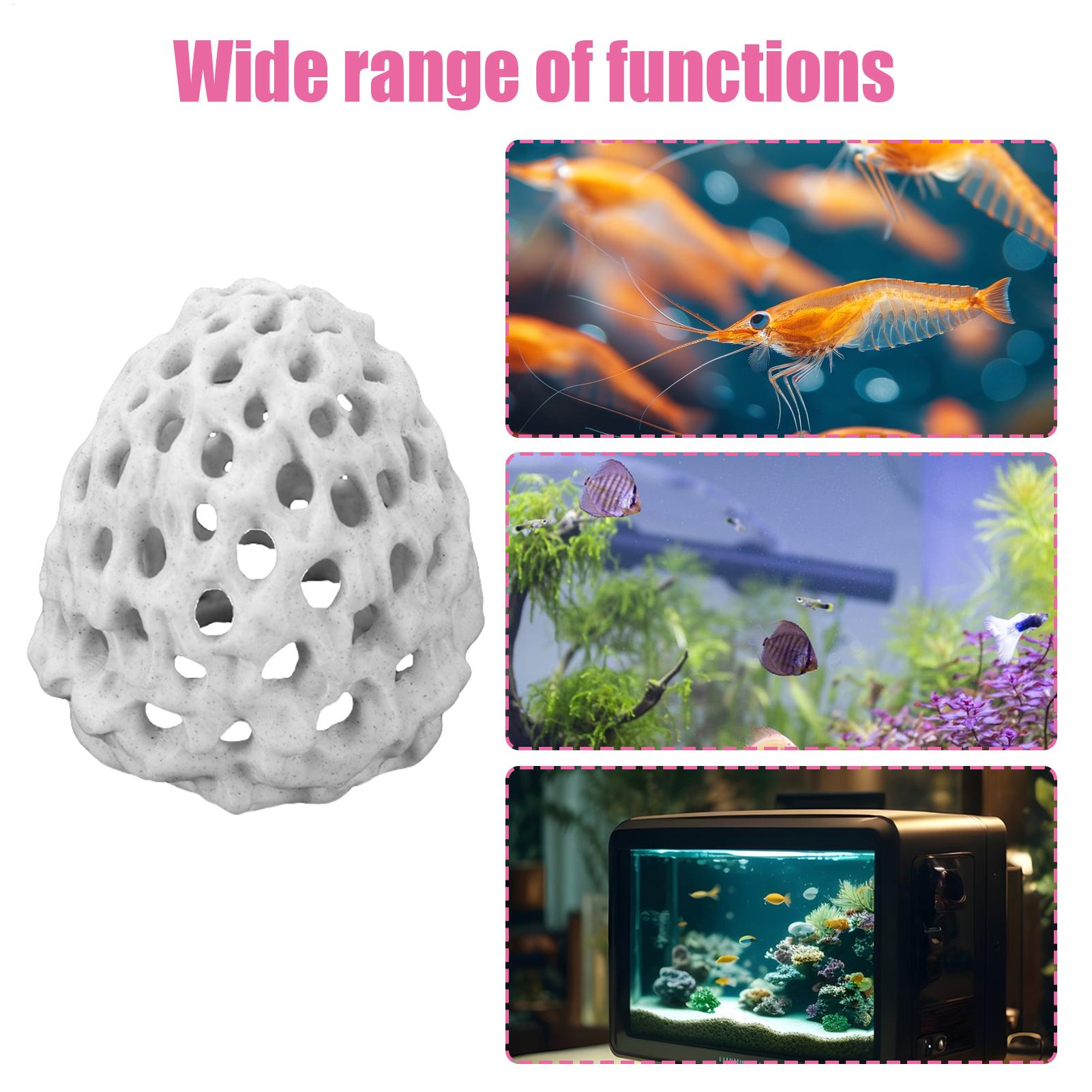 Small Aquarium shrimp house Ca - огляд і ціна Aquarium Fish Home
