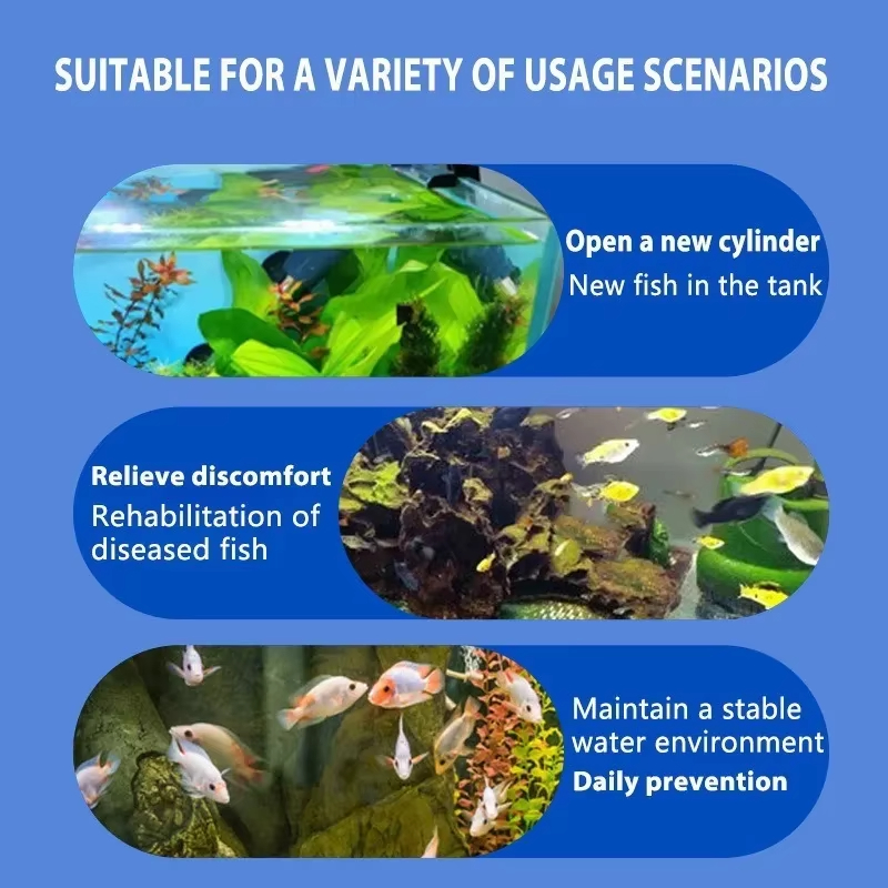 SIKEZHAN Fish Disease Treatmen - огляд і ціна Aquarium Fish Freshwater