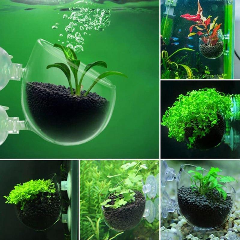 Aquarium Decorations Plant Cup - огляд і ціна Aquarium Fish Games
