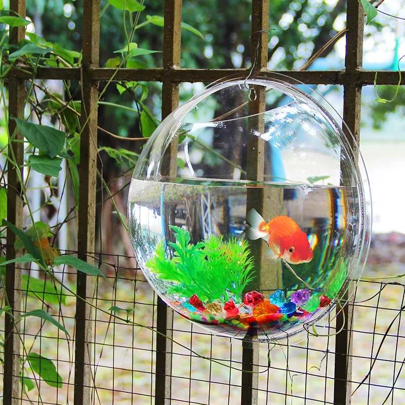 Pinsjar Acrylic Fish Bowl Wall - огляд і ціна Aquarium Fish In Bowl
