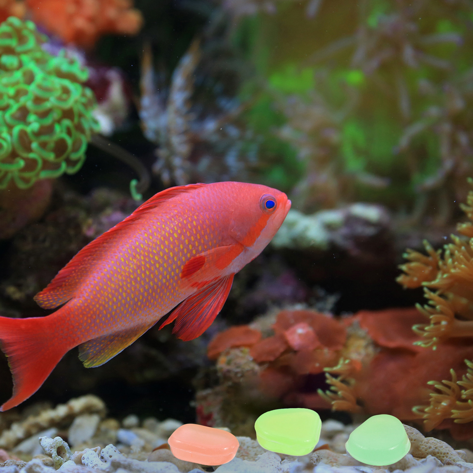 400Pcs Glow in The Dark Pebble - огляд і ціна Aquarium Decoration Rock