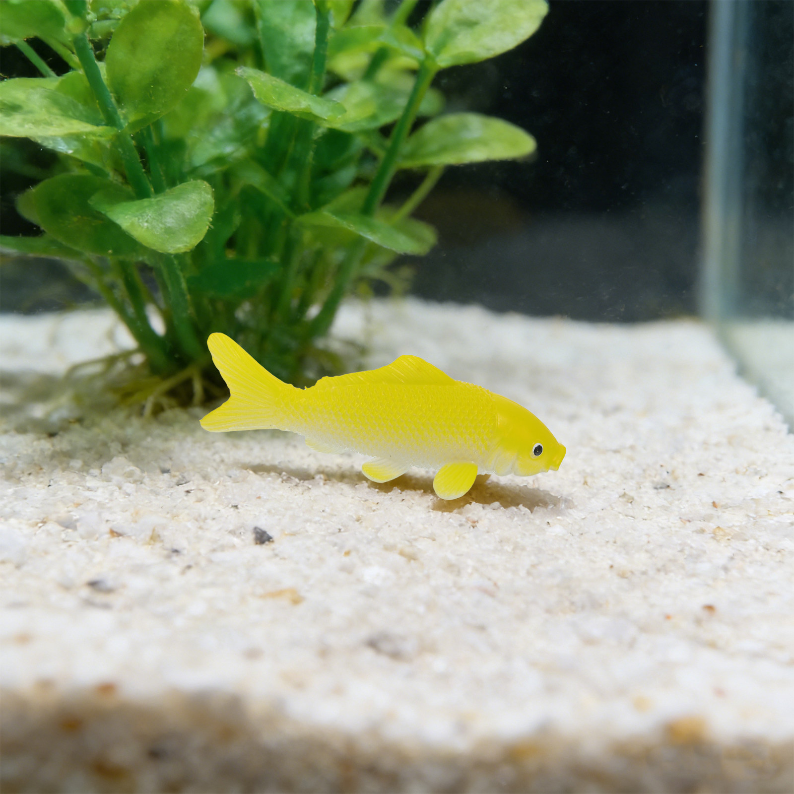 3pcs Fish Crafts Toys Realisti - огляд і ціна Aquarium Fish Home