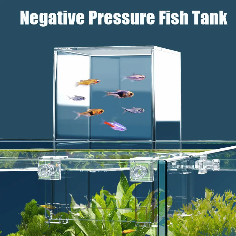 Creative Aquarium Tanks Negati - огляд і ціна Aquarium Fish In Bowl