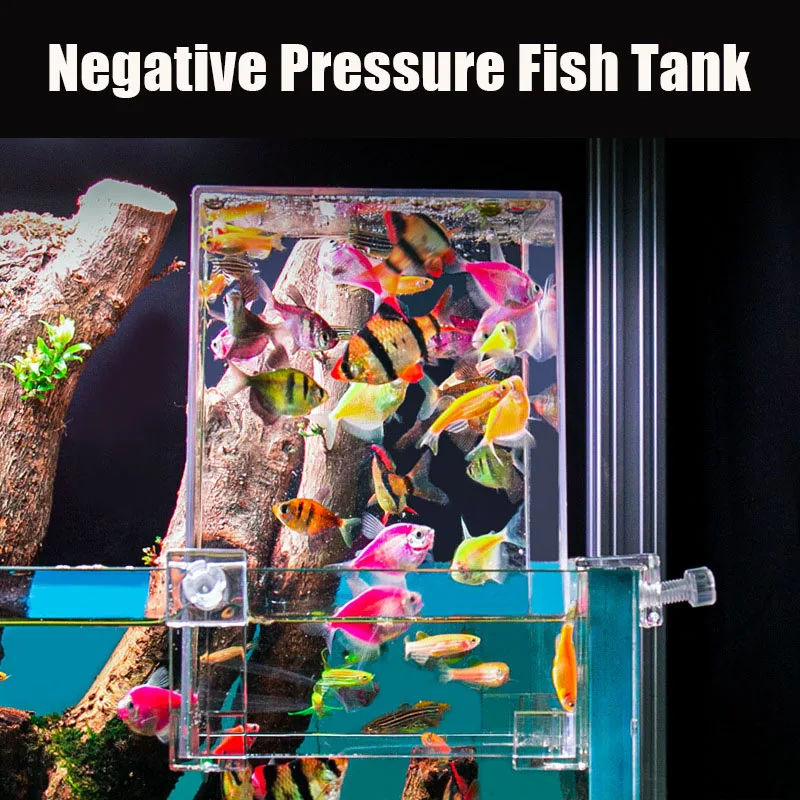 Creative Aquarium Tanks Negati - огляд і ціна Aquarium Fish In Bowl