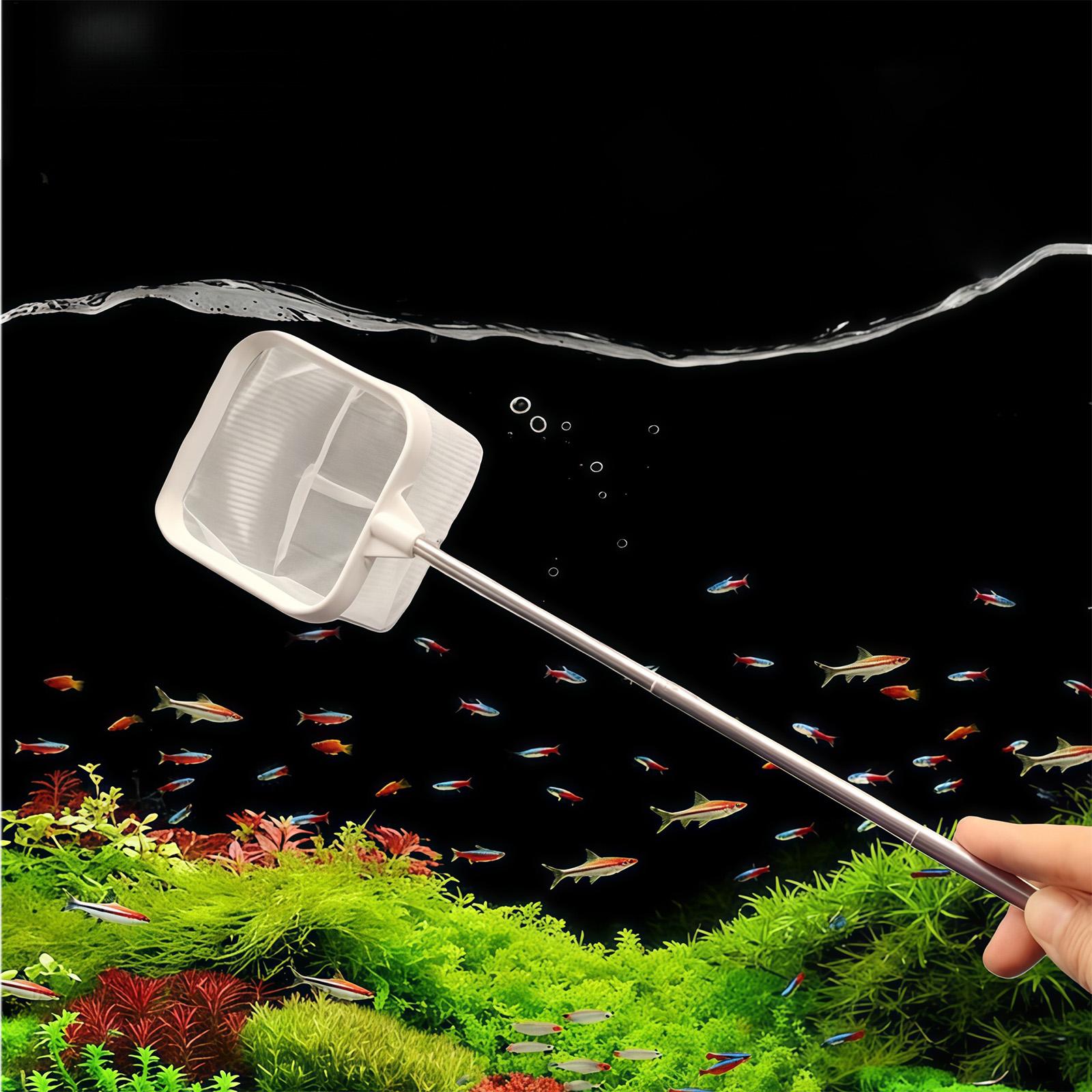 Extendable Long Handle Fine Me - огляд і ціна Aquarium Fish Trap