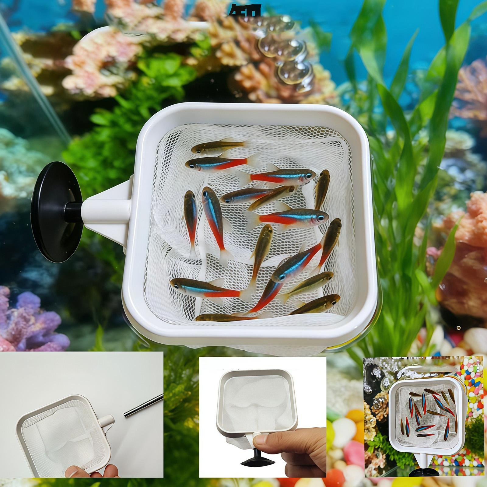 Extendable Long Handle Fine Me - огляд і ціна Aquarium Fish Trap