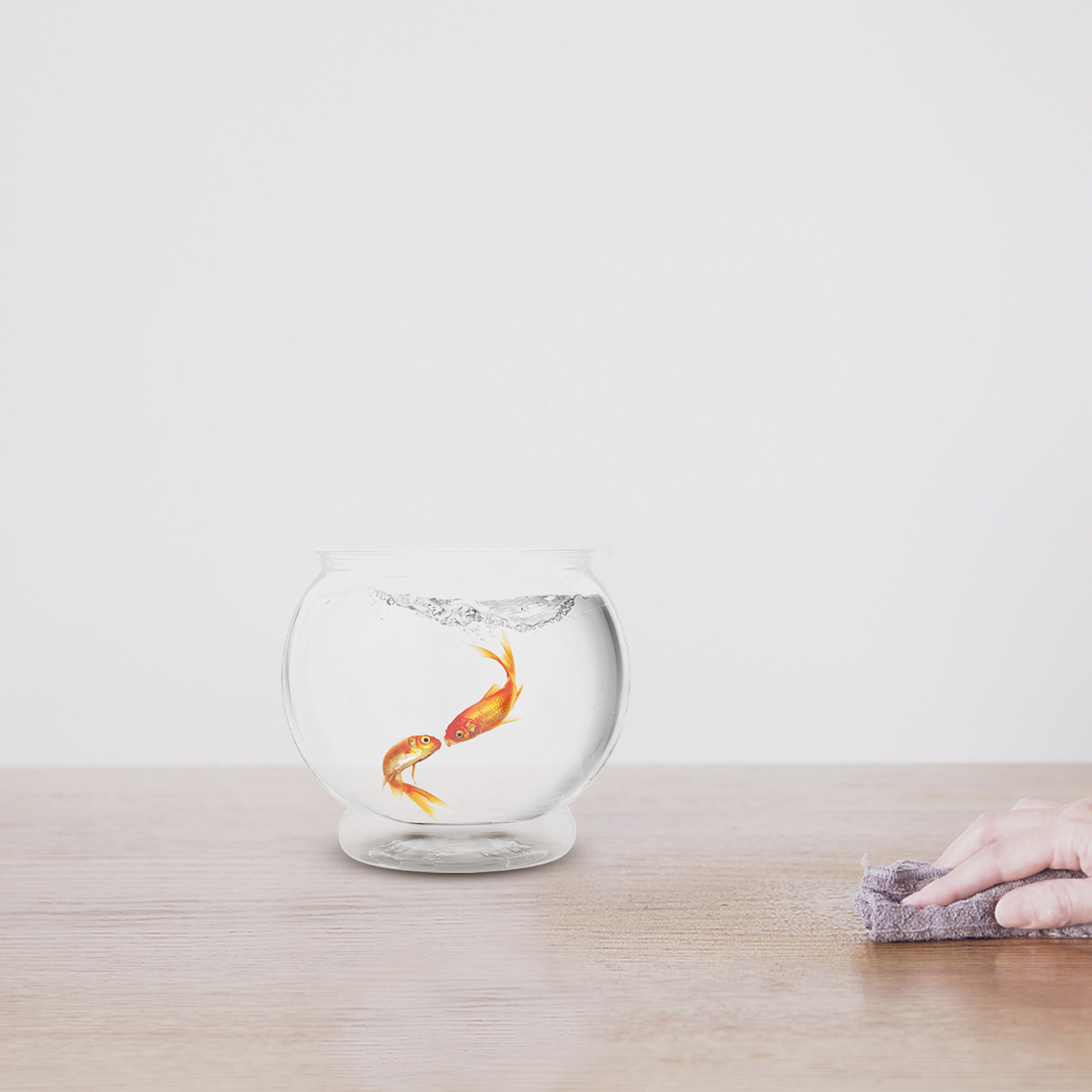 Small Desktop Landscape Fish T - огляд і ціна Aquarium Fish In Bowl