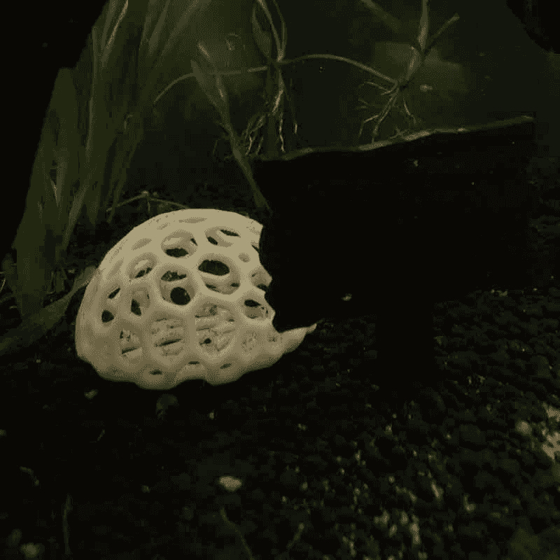 Shrimp Hideout Cave Aquarium D - огляд і ціна Aquarium Fish Games