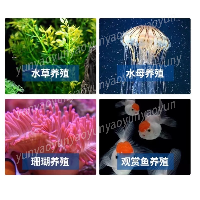 Small Aquarium Chiller Compres - огляд і ціна Aquarium Fish Freshwater
