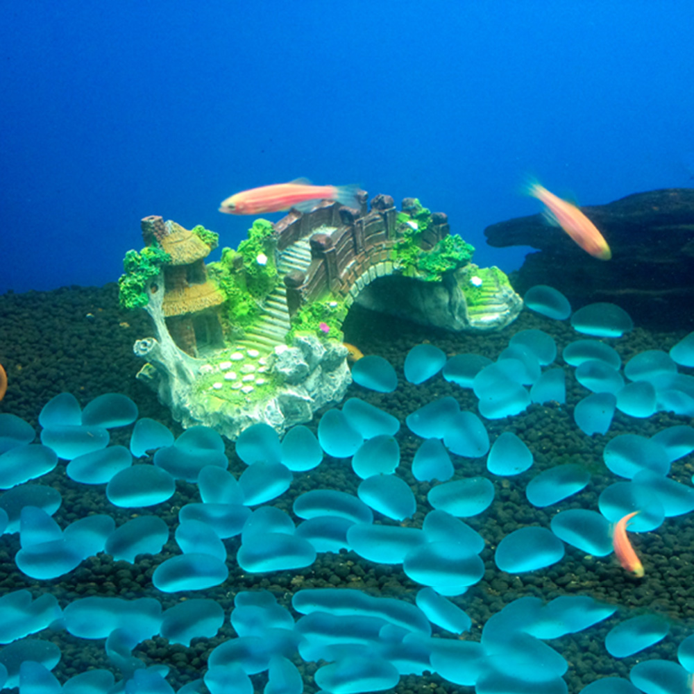 Aquarium Accessories Arbor Tre - огляд і ціна Aquarium Fish Games