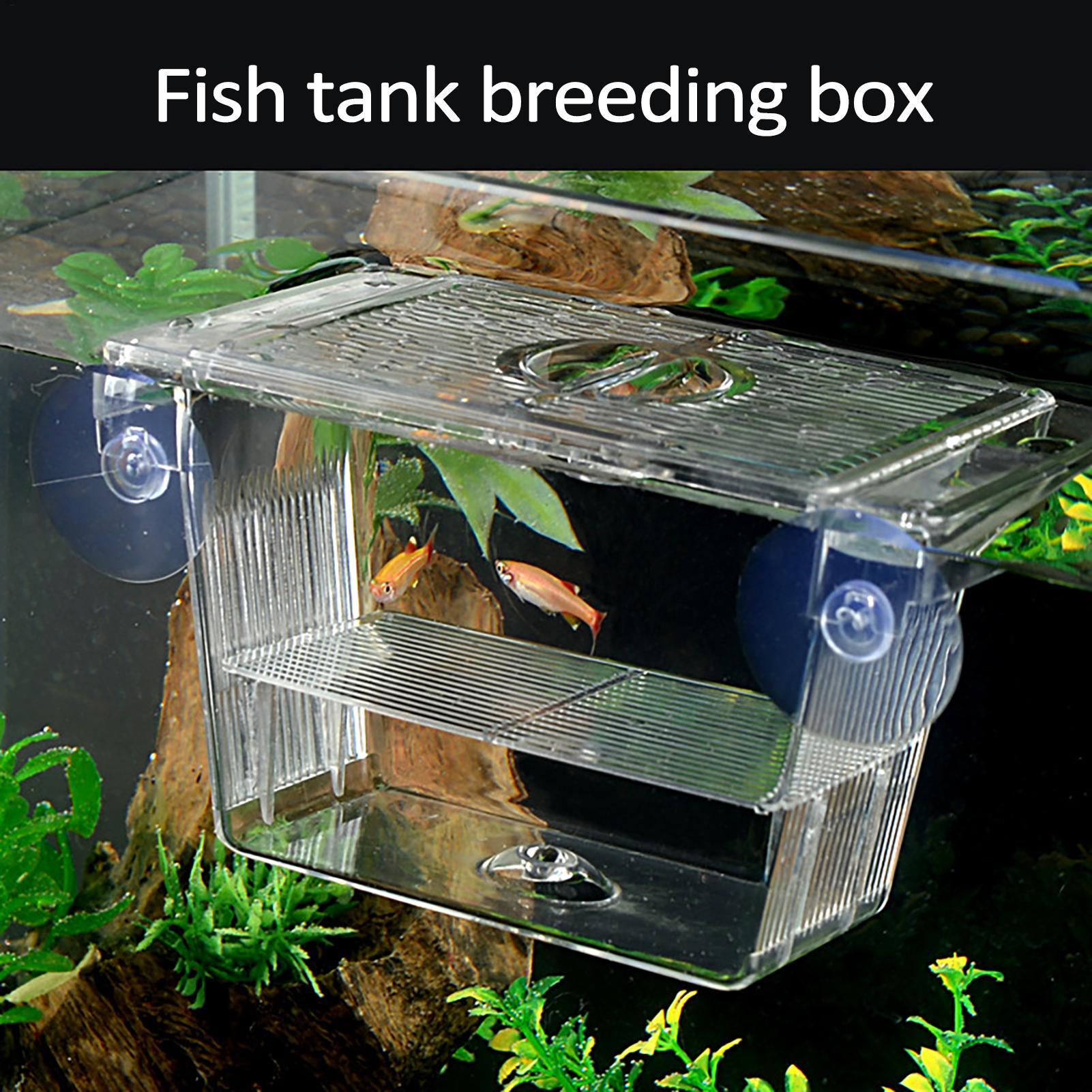 Breeder Box for Fish Tank Tran - огляд і ціна Aquarium Fish In Bowl