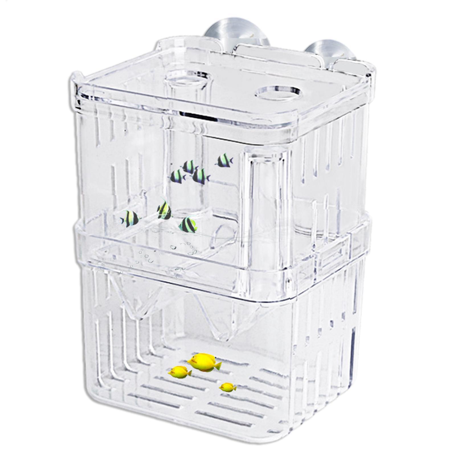 Breeder Box for Fish Tank Tran - огляд і ціна Aquarium Fish In Bowl