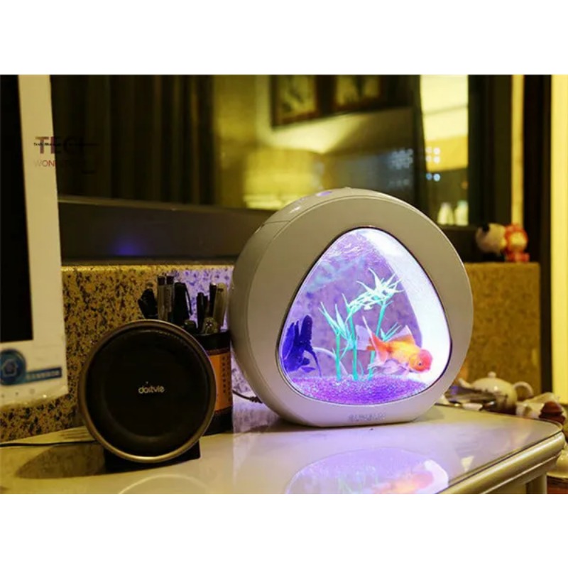 SUNSUN acrylic aquarium ecolog - огляд і ціна Aquarium Fish In Bowl