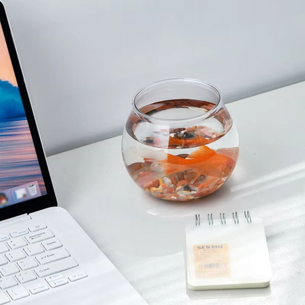 New Transparent Fish Tank Roun - огляд і ціна Aquarium Fish In Bowl