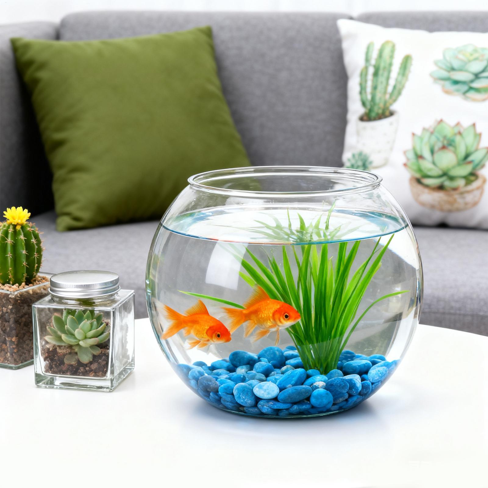 Bubble Bowl Space-Saving Aquar - огляд і ціна Aquarium Fish In Bowl