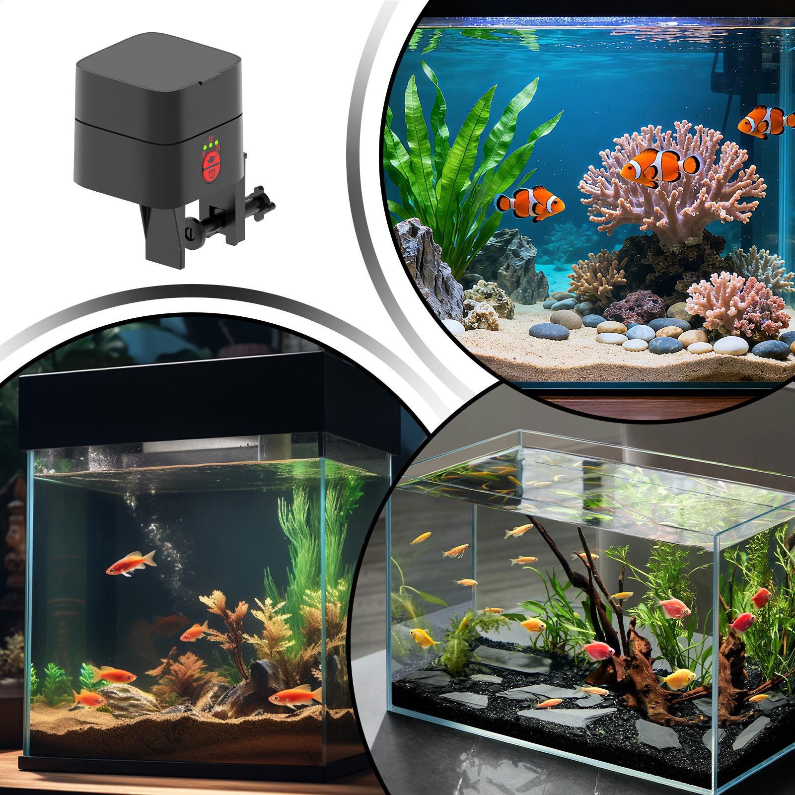Auto Fish Feeder For Aquarium  - огляд і ціна Aquarium Fish In Bowl