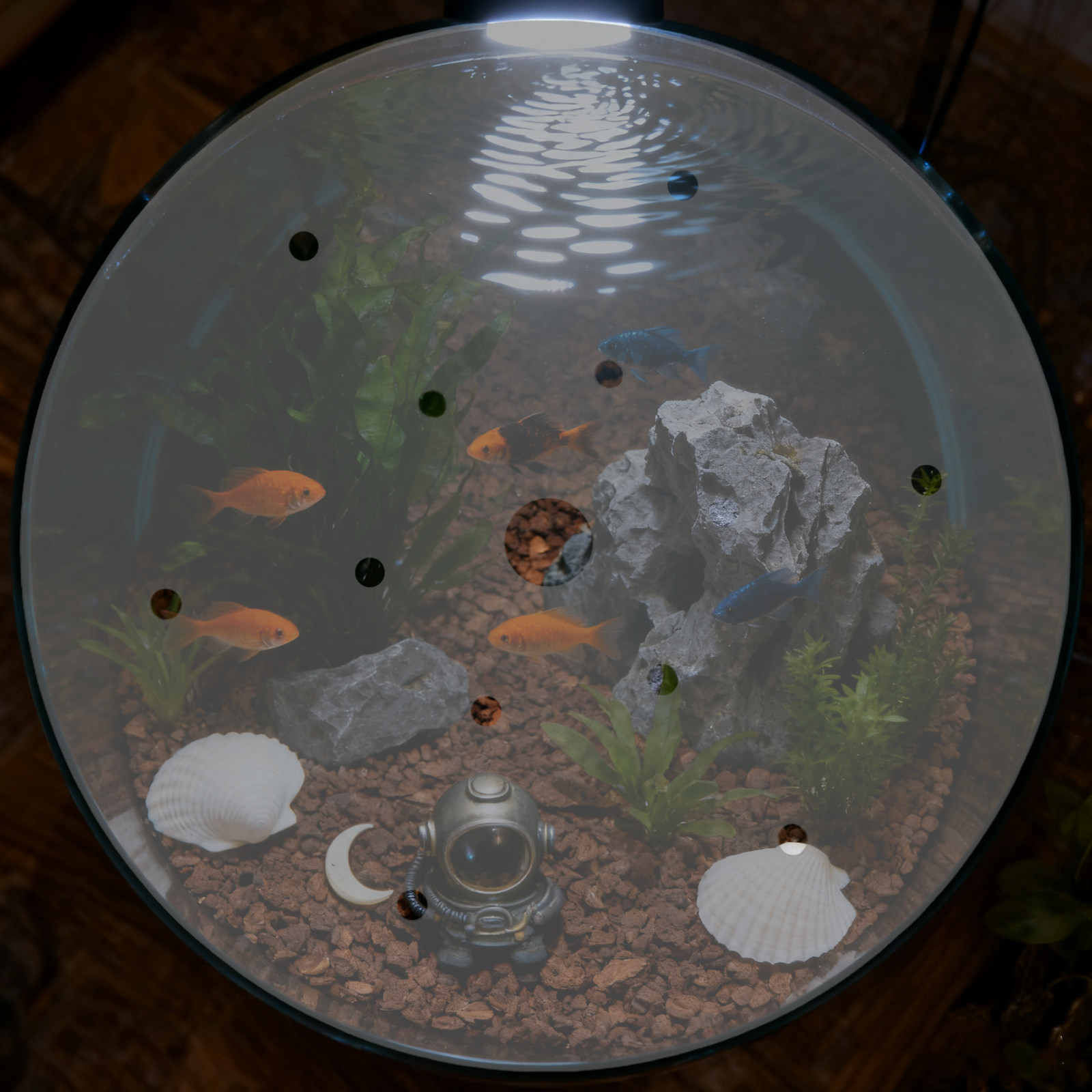 Round Acrylic Aquarium Anti-Es - огляд і ціна Aquarium Fish In Bowl
